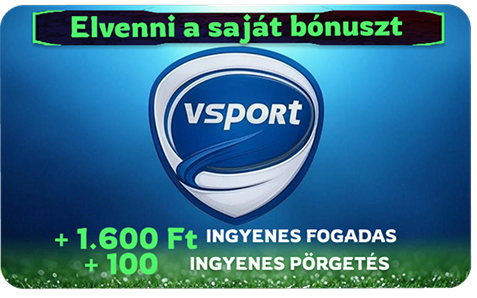 Lakat és pajzs jelképezi a személyes adatok védelmét a V Sporton